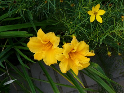 a0123003_23223958.jpg