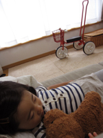d0076603_5252227.jpg
