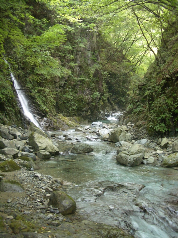 b0172805_95255.jpg