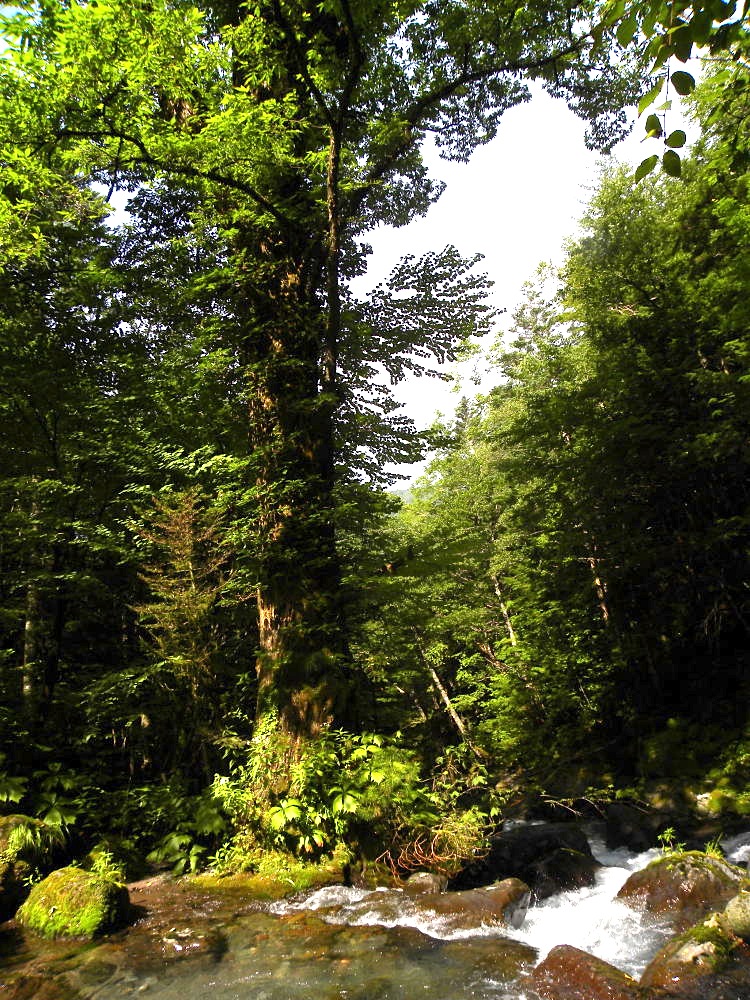 c0078410_0105434.jpg
