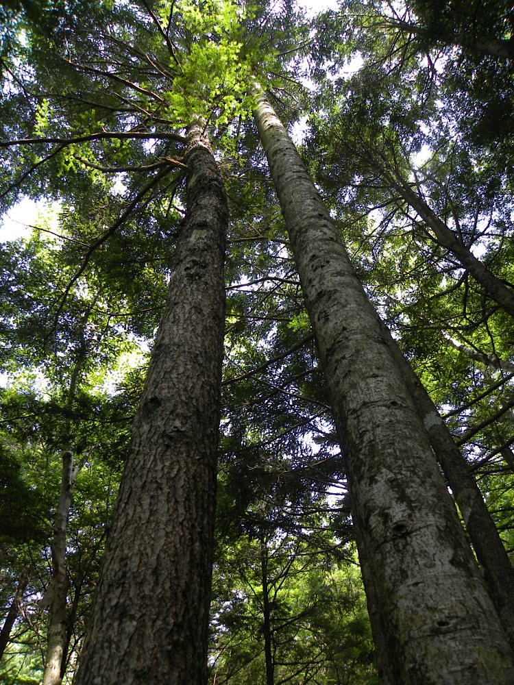 c0078410_0132886.jpg