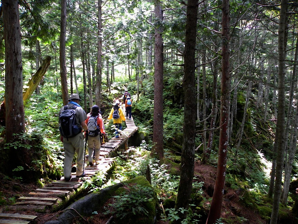 c0078410_015698.jpg