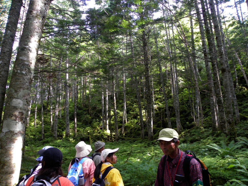 c0078410_07173.jpg