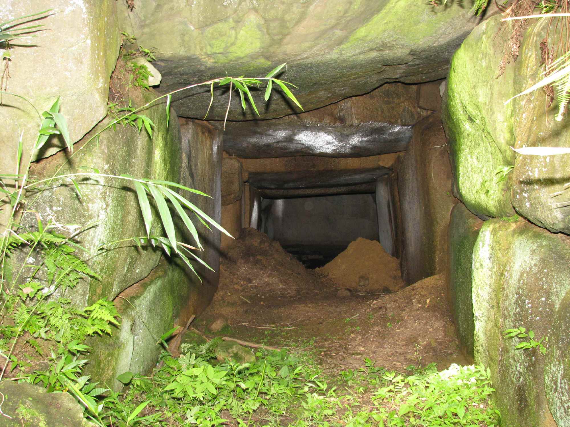 e0080110_224281.jpg
