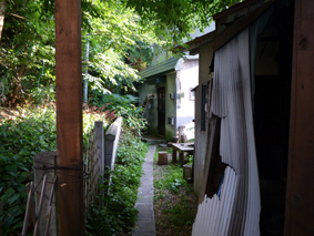 田んぼの後は犬をみにいきました。_e0148212_16311891.jpg