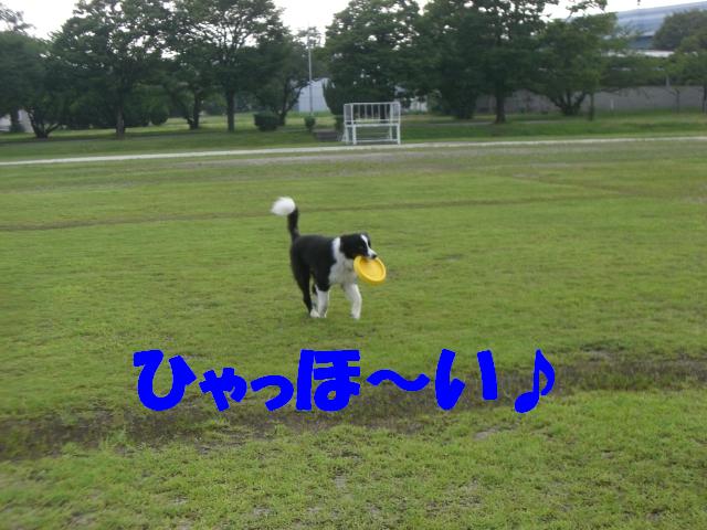 b0137913_0503849.jpg