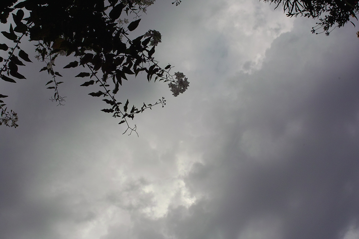 b0148617_16472268.jpg