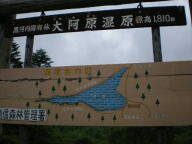 f0177521_21144413.jpg