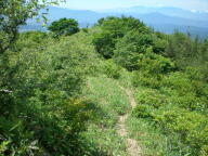 f0177521_21562589.jpg