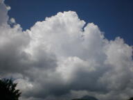f0177521_21565880.jpg