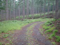 f0177521_215936.jpg