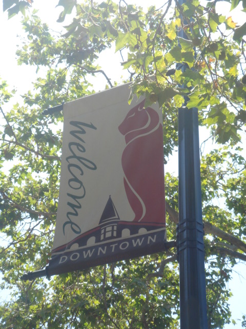 b0182124_074915.jpg