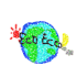c0109726_1329188.gif