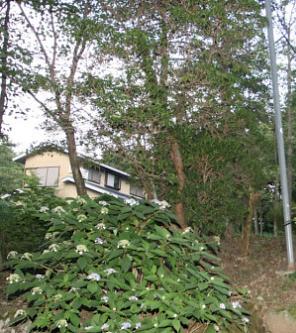 c0144828_19233693.jpg