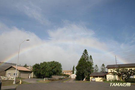 c0024729_1347432.jpg