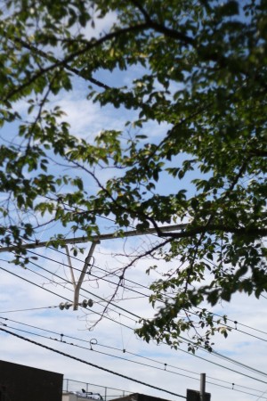 c0123730_1413485.jpg