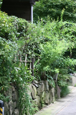 c0123730_14143385.jpg