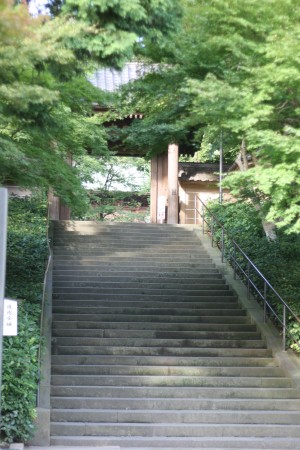 c0123730_14541133.jpg