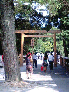 d0048332_23102855.gif
