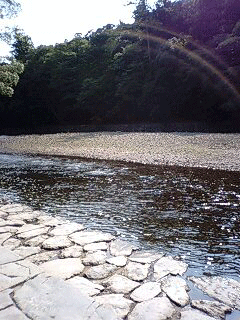 d0048332_23105479.gif