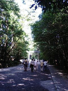 d0048332_23111028.gif