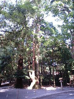 d0048332_23112018.gif