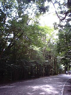 d0048332_2394793.gif