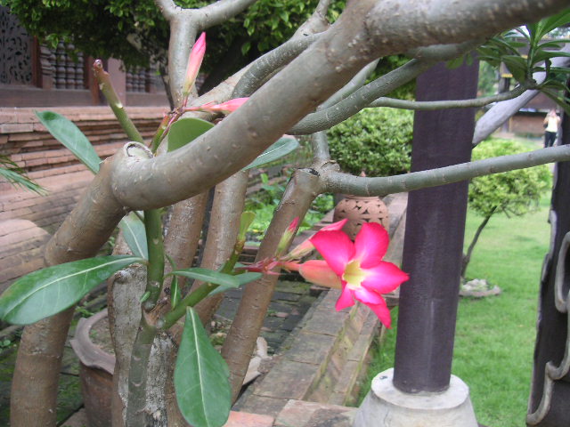 c0127933_17561330.jpg