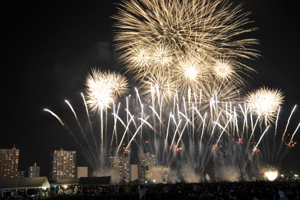 花火の祭典_c0133533_10371036.jpg