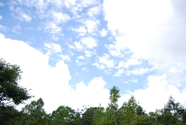 e0126046_23581772.jpg