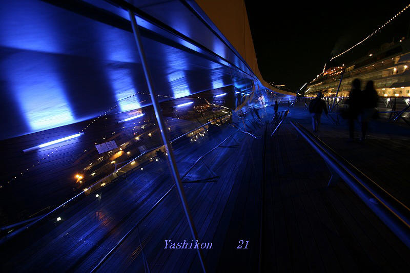 a0136249_23545284.jpg