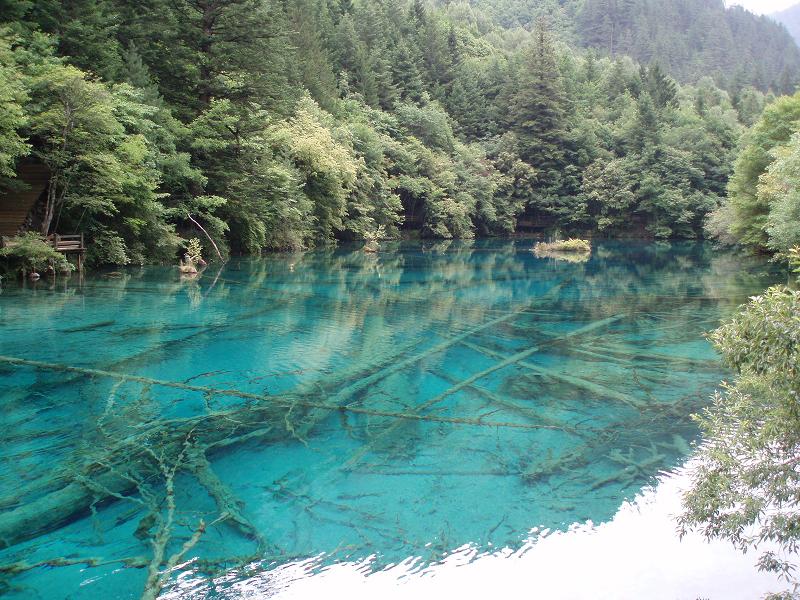 世界遺産とパンダと訪ねた中国旅行(世界遺産編)_e0177649_1237015.jpg