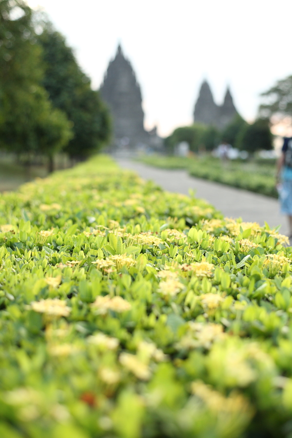 プランバナン寺院 その２ （2009年8月21日）_a0094850_7265087.jpg