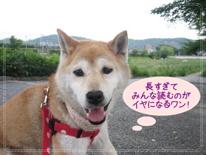 長いですが、3つの話題を、、、_c0049950_22505185.jpg
