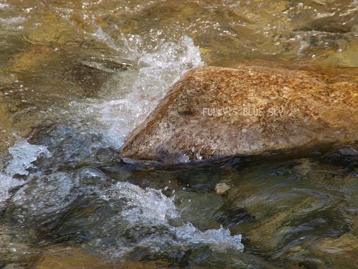 c0145250_11225514.jpg