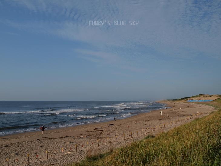 c0145250_124971.jpg