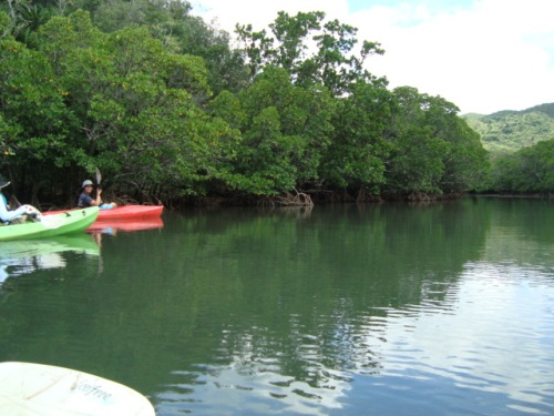 c0118352_4291427.jpg