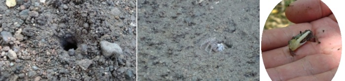 c0118352_545018.jpg