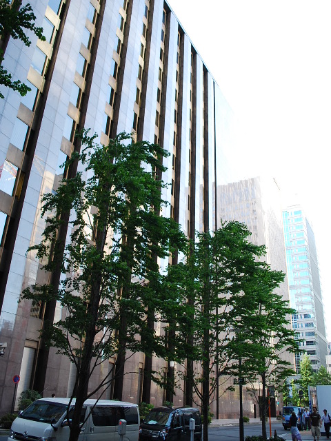 旧日本興業銀行 みずほコーポレート銀行本店 近代建築写真室 武蔵野台地