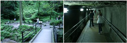c0159557_22461594.jpg