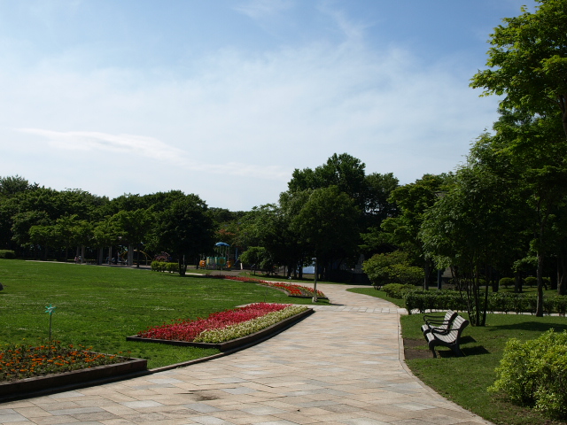 緑ヶ丘公園 頂上広場_d0153062_9243486.jpg