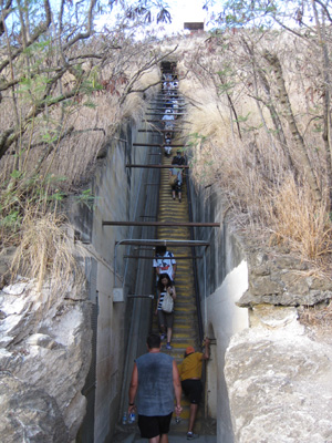 e0184067_7332639.jpg