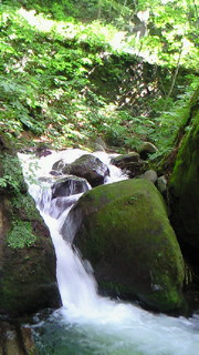 a0088668_9232871.jpg