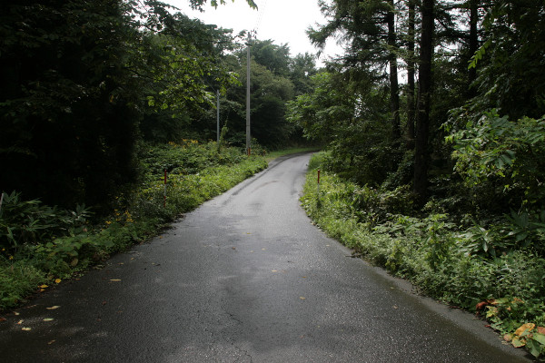 c0184178_1773843.jpg