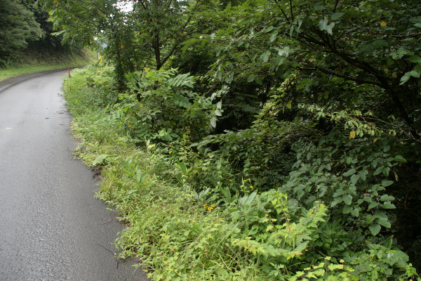 c0184178_1781620.jpg
