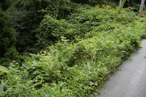 c0184178_1782759.jpg