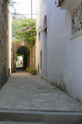 f0036481_8221348.jpg