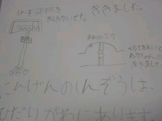 生後23日目と…じゆうけんきゅう。_f0177295_11112740.jpg