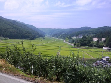 小川村より_f0117498_1814761.jpg