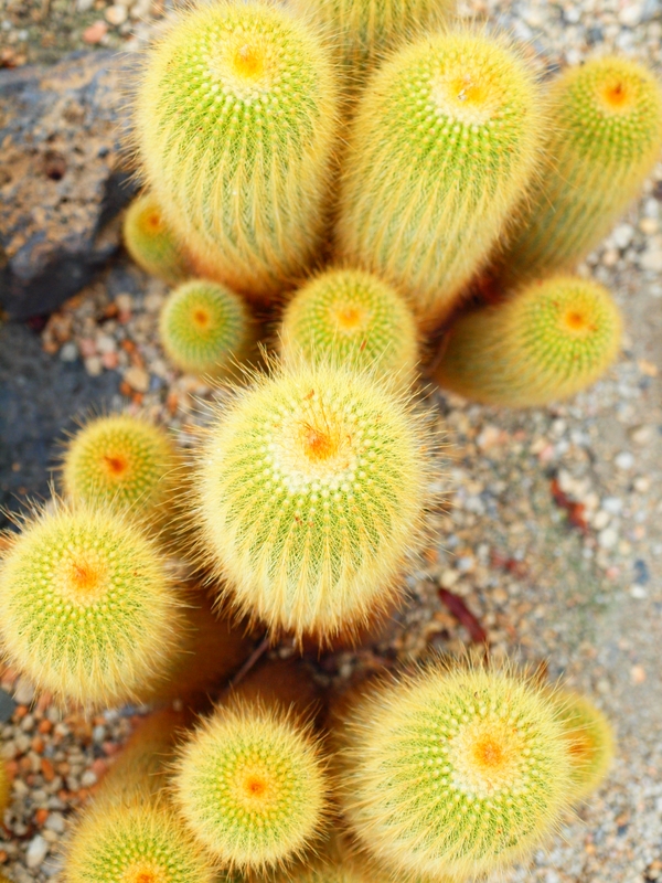 b0138101_16522616.jpg